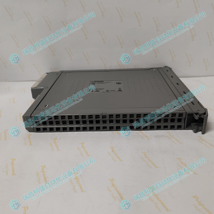 ICS TRIPLEX T8461C 数字量输入模块 