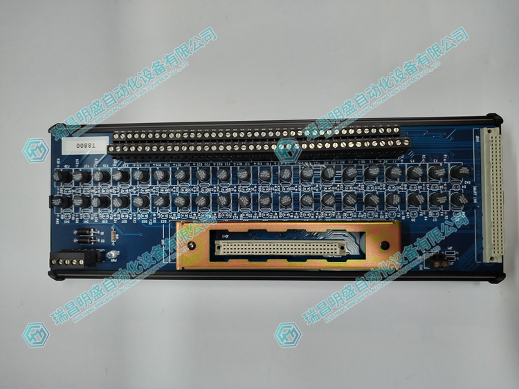 ICS Triplex T8800 数字输入通道模块 