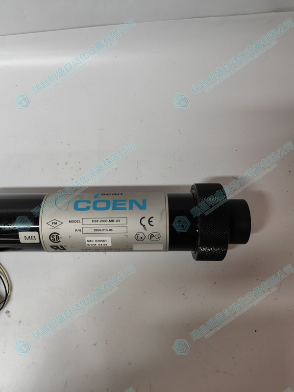 COEN ISCAN DSF-2000-MB-UV 2653-213-06火焰扫描仪 