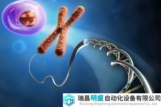 Science纳米孔测序助力端粒长度检测